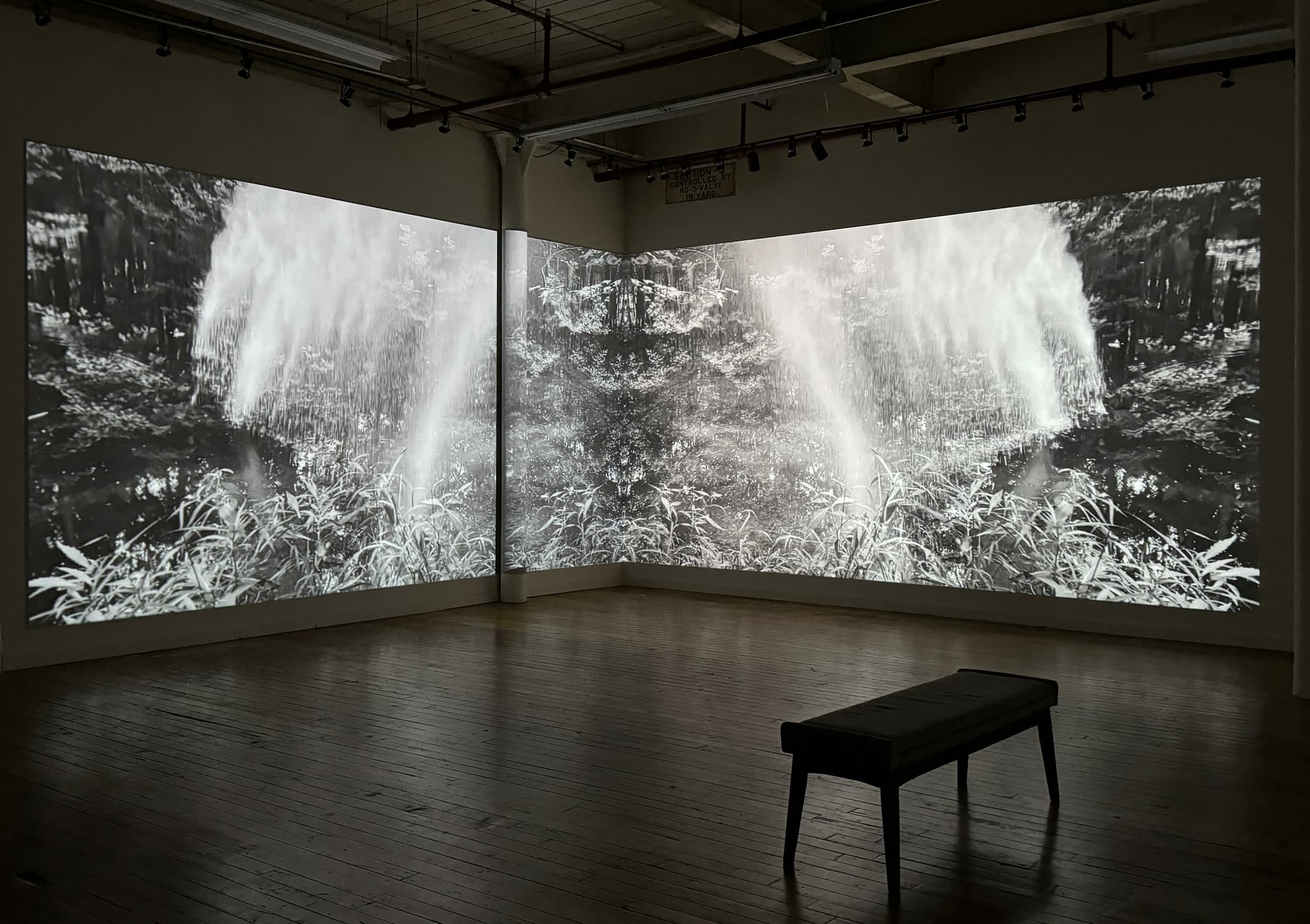 A nature video projection spans two walls of a gallery space.