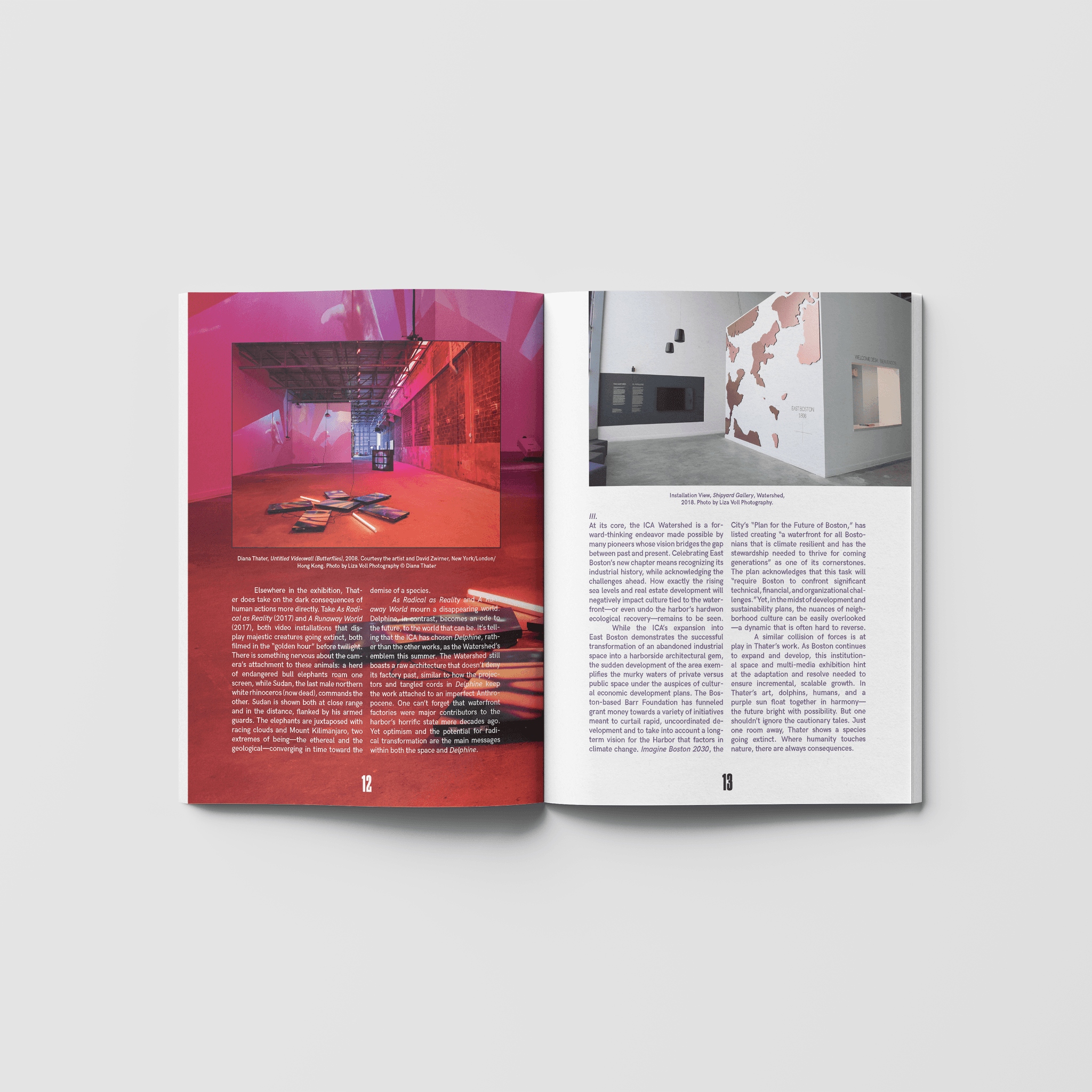 Issue 02: Field Work - Limited Second Print - BARIssue02-3